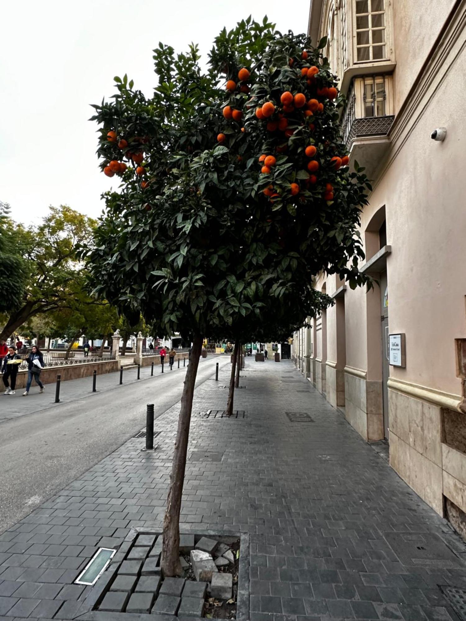 Malaga'S Secret Leilighet Eksteriør bilde